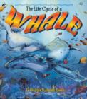 Image for The Life Cycle of the Whale