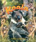Image for The Life Cycle of the Koala
