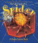 Image for The Life Cycle of the Spider