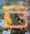 Image for The Life Cycle of the Honeybee