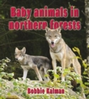 Image for Baby Animals in Northern Forests