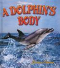 Image for A Dolphin&#39;s Body