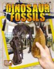 Image for Dinosaur fossils