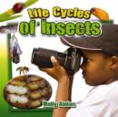 Image for Life Cycles of Insects