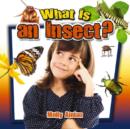 Image for What is an insect?
