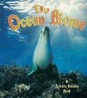 Image for Ocean Biome