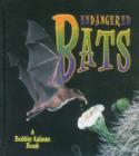 Image for Endangered Bats