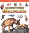 Image for Animals Called Mammals
