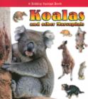 Image for Koalas and other Marsupials