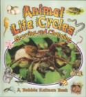 Image for Animal Life Cycles : Growing and Changing