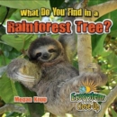 Image for What do you find in a rainforest tree?