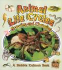 Image for Animal Life Cycles : Growing and Changing