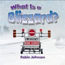 Image for What is a blizzard?