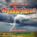 Image for What Is a Thunderstorm?