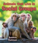 Image for Animals that Live in Social Groups