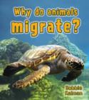 Image for Why do animals migrate?