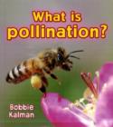 Image for What is pollination?