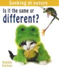 Image for Is it the Same or Different?