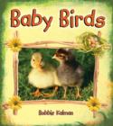 Image for Baby Birds