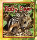 Image for Baby Deer