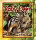 Image for Baby Deer