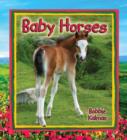 Image for Baby Horses