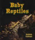 Image for Baby Reptiles