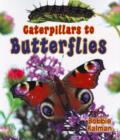 Image for Caterpillars to Butterflys