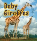 Image for Baby Giraffes