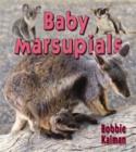 Image for Baby Marsupials