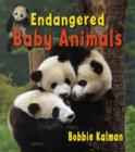 Image for Endangered Baby Animals