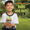 Image for What are bulbs and roots?