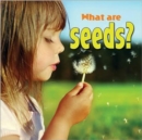 Image for What are seeds?