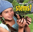 Image for What are stems?
