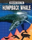 Image for Bringing back the humpback whale