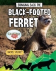 Image for Bringing Back the Black-Footed Ferret