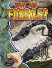 Image for What Are Fossils?