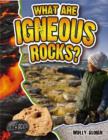 Image for What Are Igneous Rocks?