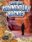 Image for What are Sedimentary Rocks?