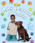 Image for Los Perros Labrador