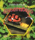 Image for El Ciclo de Vida del Escarabajo