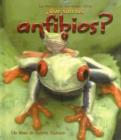 Image for Que son los Anfibios?