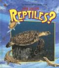 Image for Que son los Reptiles?