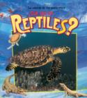 Image for Que Son Los Reptiles?