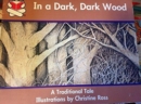 Image for Story Box, (Early Emergent) In A Dark, Dark Wood, Big Book