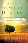 Image for A Place of Healing : Wrestling with the Mysteries of Suffering, Pain, and God&#39;s Sovereignty
