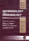 Image for BRS microbiology and immunology