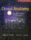 Image for Dental anatomy  : its relevance to dentistry