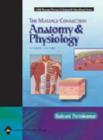 Image for The massage connection  : anatomy and physiology