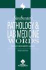 Image for Stedman&#39;s Pathology and Lab Medicine Words